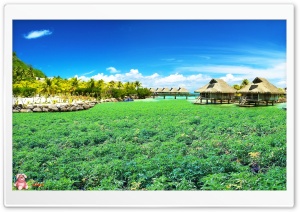 Nature 080 4K UHD Wallpaper for Widescreen and UltraWide Desktop, UltraHD TV, Smartphone, Tablet