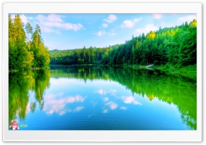 Nature 082 4K UHD Wallpaper for Widescreen and UltraWide Desktop, UltraHD TV, Smartphone, Tablet