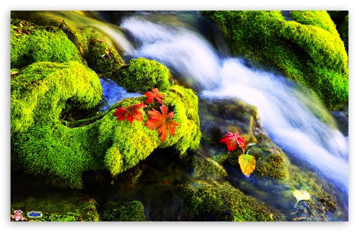 Nature 159 UltraHD Wallpaper for Widescreen 16:10 ;