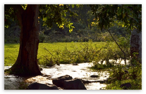 Nature UltraHD Wallpaper for UHD 16:9 ; HD 16:9 ; Widescreen 16:10 5:3 ; Fullscreen 3:2 ;