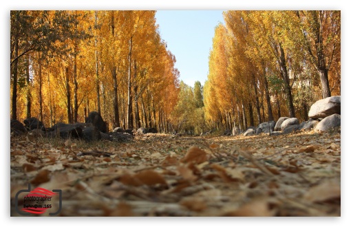 nature UltraHD Wallpaper for UHD 16:9 ; HD 16:9 ; Widescreen 16:10 ; Fullscreen 3:2 ;