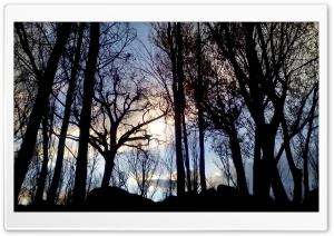 nature 4K UHD Wallpaper for Widescreen and UltraWide Desktop, UltraHD TV, Smartphone, Tablet