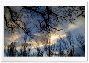 nature 4K UHD Wallpaper for Widescreen and UltraWide Desktop, UltraHD TV, Smartphone, Tablet