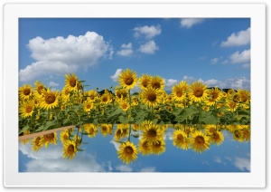 Nature 4K UHD Wallpaper for Widescreen and UltraWide Desktop, UltraHD TV, Smartphone, Tablet