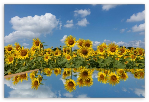 Nature UltraHD Wallpaper for Fullscreen 3:2 ;