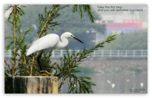 nature UltraHD Wallpaper for Widescreen 16:10 ;