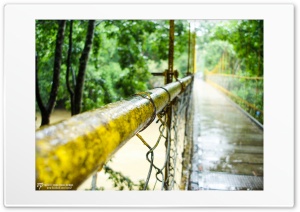 Nature bridge Ultra HD Wallpaper for 4K UHD Widescreen desktop, tablet & smartphone