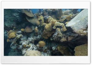 Nature of the Sea 4K UHD Wallpaper for Widescreen and UltraWide Desktop, UltraHD TV, Smartphone, Tablet