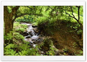 Nature River Ultra HD Wallpaper for 4K UHD Widescreen desktop, tablet & smartphone
