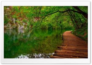 Nature River Wooden Path Ultra HD Wallpaper for 4K UHD Widescreen desktop, tablet & smartphone