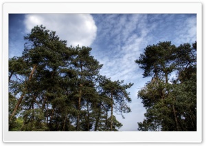Nature Scenes 32 Ultra HD Wallpaper for 4K UHD Widescreen desktop, tablet & smartphone