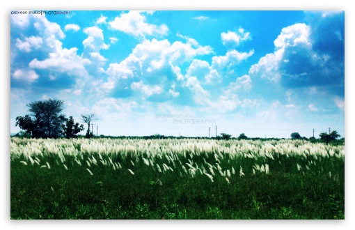 nature view UltraHD Wallpaper for Widescreen 16:10 ;