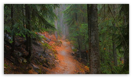 Naturel and Colors UltraHD Wallpaper for HD 16:9 ;