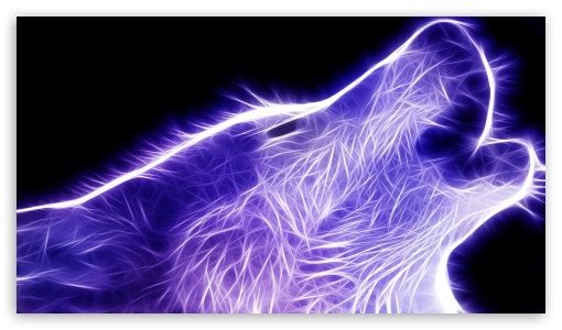 Neon Wolf UltraHD Wallpaper for 8K UHD TV 16:9 Ultra High Definition 2160p 1440p 1080p 900p 720p ;