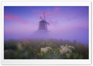 Netherlands Traditional Windmill Morning Mist Ultra HD Wallpaper for 4K UHD Widescreen desktop, tablet & smartphone