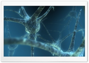 neurons wallpaper