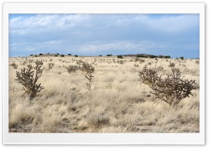 New Mexico Landscape Ultra HD Wallpaper for 4K UHD Widescreen desktop, tablet & smartphone