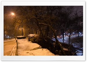 New York City, Central Park Ultra HD Wallpaper for 4K UHD Widescreen desktop, tablet & smartphone