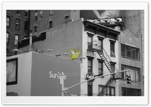 New York Graffiti Character Ultra HD Wallpaper for 4K UHD Widescreen desktop, tablet & smartphone