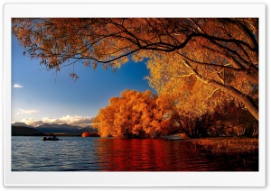 New Zealand Autumn Ultra HD Wallpaper for 4K UHD Widescreen desktop, tablet & smartphone
