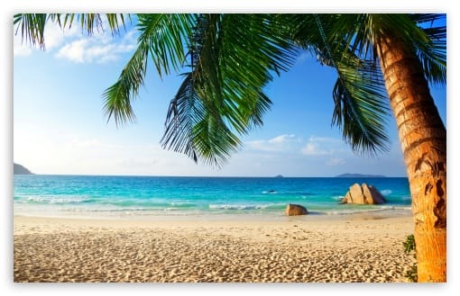 Nice Tropical Beach with Palm Trees UltraHD Wallpaper for UHD 16:9 ; HD 16:9 ; UltraWide 21:9 24:10 ; Widescreen 16:10 ; Tablet 1:1 ;