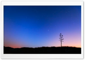 Night Skies Ultra HD Wallpaper for 4K UHD Widescreen desktop, tablet & smartphone