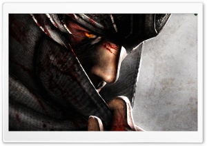 Ninja Gaiden 3 (Video Game 2012) Ultra HD Wallpaper for 4K UHD Widescreen desktop, tablet & smartphone