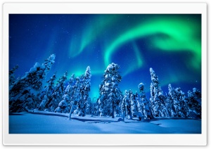Northern Lights Over Forest, Winter Ultra HD Wallpaper for 4K UHD Widescreen desktop, tablet & smartphone