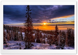 Norway Sunset Over Forest Ultra HD Wallpaper for 4K UHD Widescreen desktop, tablet & smartphone