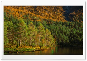 Norwegian Wilderness Landscape 4K UHD Wallpaper for Widescreen and UltraWide Desktop, UltraHD TV, Smartphone, Tablet