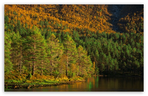 Norwegian Wilderness Landscape UltraHD Wallpaper for UHD 16:9 ; HD 16:9 ; UltraWide 21:9 24:10 ; Widescreen 16:10 5:3 ; Fullscreen 4:3 5:4 3:2 ; Tablet 1:1 ;