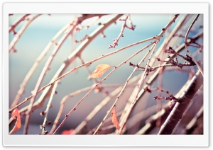 Not Another Winter Ultra HD Wallpaper for 4K UHD Widescreen desktop, tablet & smartphone