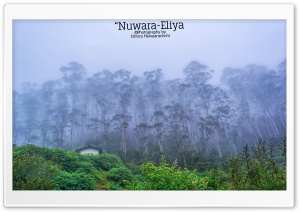 Nuwara-Eliya - Sri Lanka Ultra HD Wallpaper for 4K UHD Widescreen desktop, tablet & smartphone