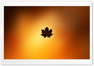Oak Leaf Background Ultra HD Wallpaper for 4K UHD Widescreen desktop, tablet & smartphone