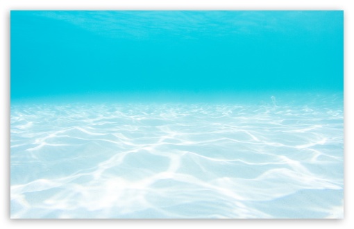 Ocean Underwater Ultra HD Desktop Background Wallpaper for 4K UHD TV ...