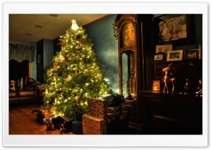 Oh Christmas Tree Ultra HD Wallpaper for 4K UHD Widescreen desktop, tablet & smartphone