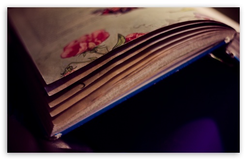 Old Book UltraHD Wallpaper for UHD 16:9 ; HD 16:9 ; Widescreen 16:10 5:3 ; Fullscreen 4:3 5:4 3:2 ; Tablet 1:1 ; Mobile 3:5 3:4 ;