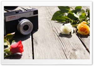 Old Camera and Roses Ultra HD Wallpaper for 4K UHD Widescreen desktop, tablet & smartphone