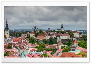 Old Town Tallinn Ultra HD Wallpaper for 4K UHD Widescreen desktop, tablet & smartphone