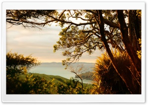 One Fine Evening Ultra HD Wallpaper for 4K UHD Widescreen desktop, tablet & smartphone