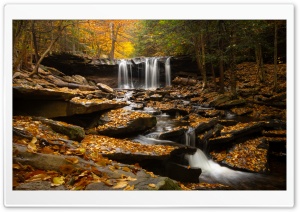 Oneida Falls, Ricketts Glen State Park, PA 4K UHD Wallpaper for Widescreen and UltraWide Desktop, UltraHD TV, Smartphone, Tablet