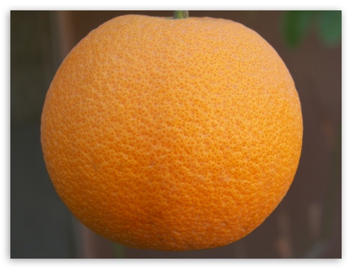 Orange UltraHD Wallpaper for Fullscreen 4:3 ;