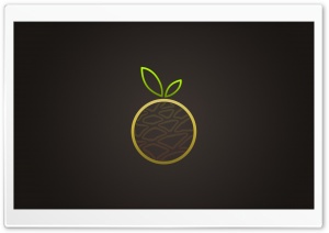 Orange Fruit Vector Art Ultra HD Wallpaper for 4K UHD Widescreen desktop, tablet & smartphone