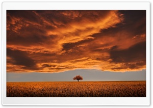 Orange Landscape Ultra HD Wallpaper for 4K UHD Widescreen desktop, tablet & smartphone