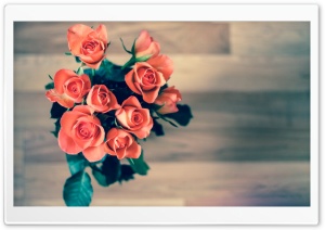 Orange Roses Bouquet Ultra HD Wallpaper for 4K UHD Widescreen desktop, tablet & smartphone