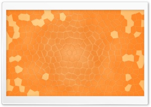 Orange Shell Ultra HD Wallpaper for 4K UHD Widescreen desktop, tablet & smartphone