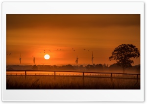 Orange Sunrise, Wind Turbines, Birds, Tree, Morning Ultra HD Wallpaper for 4K UHD Widescreen desktop, tablet & smartphone