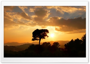 Orange Sunset Ultra HD Wallpaper for 4K UHD Widescreen desktop, tablet & smartphone
