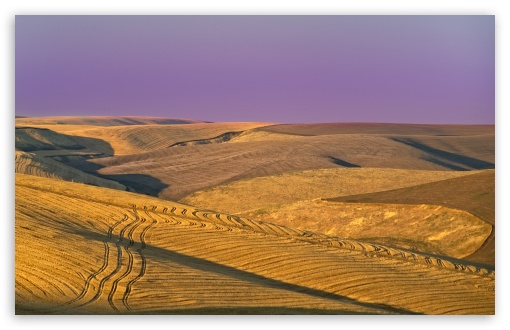 Oregon Harvested Wheat Fields at Sunset UltraHD Wallpaper for UHD 16:9 ; HD 16:9 ; UltraWide 21:9 24:10 32:9 32:10 ; Widescreen 16:10 ; Tablet 1:1 ; Mobile 9:16 9:19.5 9:20 9:21 9:22 ; Dual 16:10 16:9 ;