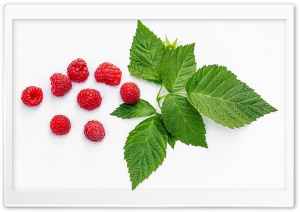 Organic, Raspberries, Fruits, Green Leaves, White Background 4K UHD Wallpaper for Widescreen and UltraWide Desktop, UltraHD TV, Smartphone, Tablet